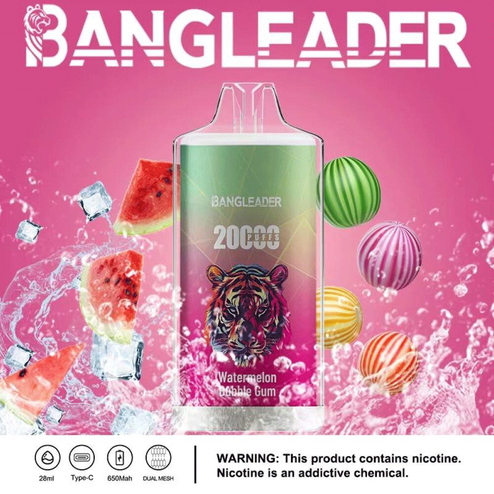 Bang Leader 20000 20K Puffs Newest Product Disposable Vape