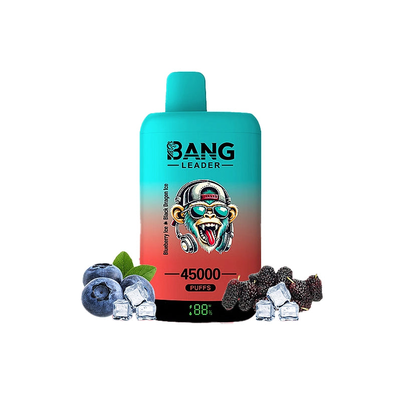 Bang Leader 45000 45K Puffs Double Taste LED Display Rechargeable  Disposable Vape EU Warehouse