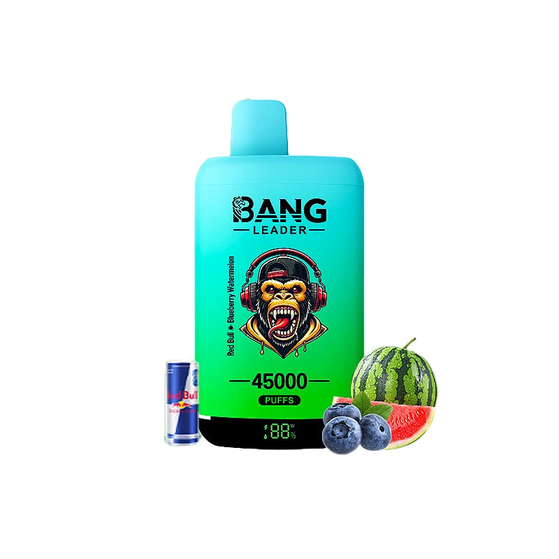 Bang Leader 45000 45K Puffs Double Taste LED Display Rechargeable  Disposable Vape EU Warehouse