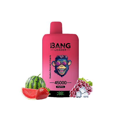 Bang Leader 45000 45K Puffs Double Taste LED Display Rechargeable  Disposable Vape EU Warehouse