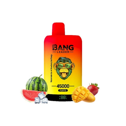 Bang Leader 45000 45K Puffs Double Taste LED Display Rechargeable  Disposable Vape EU Warehouse