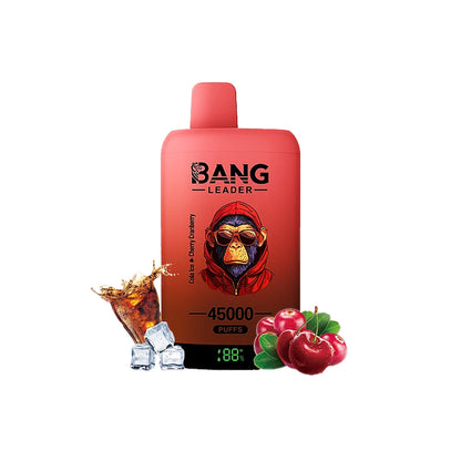 Bang Leader 45000 45K Puffs Double Taste LED Display Rechargeable  Disposable Vape EU Warehouse