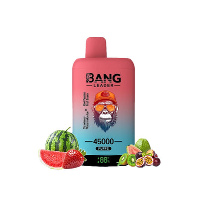 Bang Leader 45000 45K Puffs Double Taste LED Display Rechargeable  Disposable Vape EU Warehouse