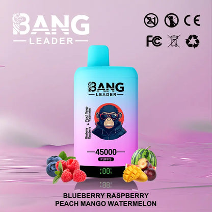 Bang Leader 45000 45K Puffs 2% 3% 5% Nicotine Double Taste LED Display Disposable Vape