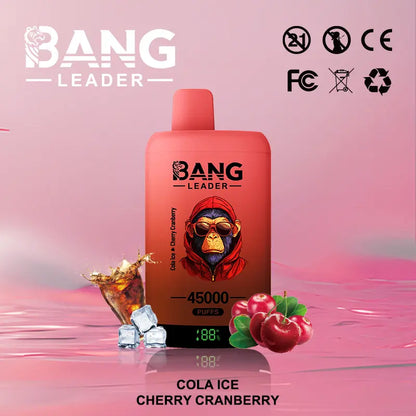 Bang Leader 45000 45K Puffs 2% 3% 5% Nicotine Double Taste LED Display Disposable Vape