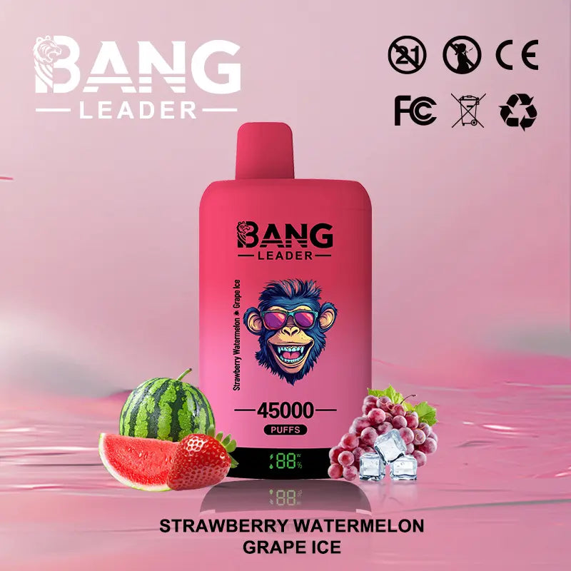 Bang Leader 45000 45K Puffs 2% 3% 5% Nicotine Double Taste LED Display Disposable Vape
