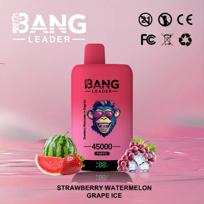 Bang Leader 45000 45K Puffs 2% 3% 5% Nicotine Double Taste LED Display Disposable Vape