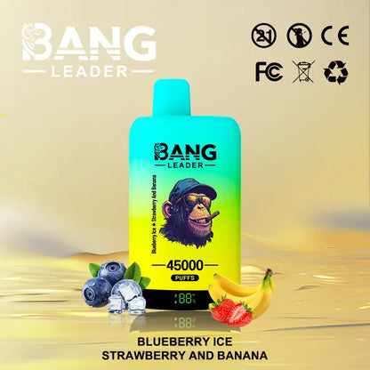 Bang Leader 45000 45K Puffs 2% 3% 5% Nicotine Double Taste LED Display Disposable Vape