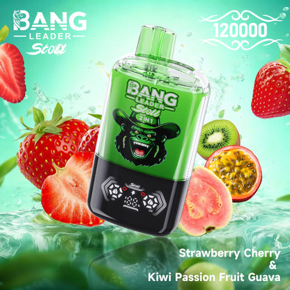 Bang Leader Stoll 120K 120000 Puffs Double Taste&Anti-Leak Design LED Display Disposable Vape