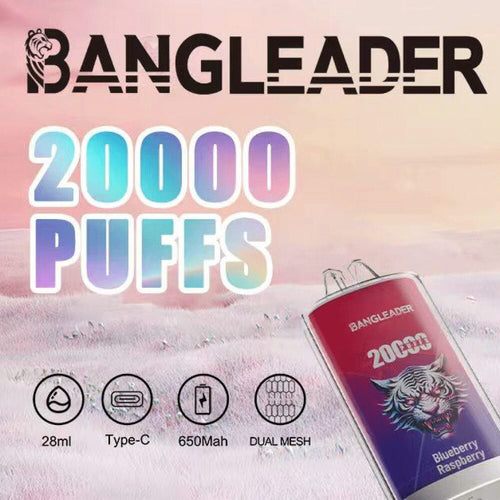 Bang Leader 20000 20K Puffs Newest Product Disposable Vape