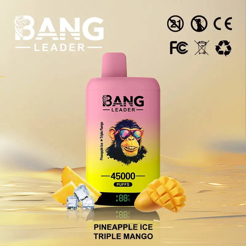 Bang Leader 45000 45K Puffs 2% 3% 5% Nicotine Double Taste LED Display Disposable Vape