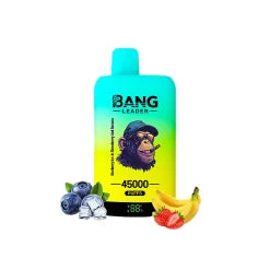 Bang Leader 45000 45K Puffs Double Taste LED Display Rechargeable  Disposable Vape EU Warehouse