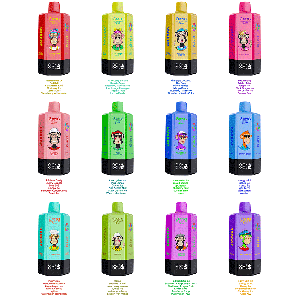 Bang Leader 300K 300000 Puffs 6-in-1 Flavors Rechargeable LED Display Disposable Vape