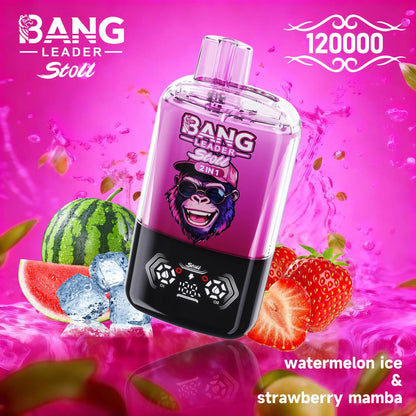 Bang Leader Stoll 120K 120000 Puffs Double Taste&Anti-Leak Design LED Display Disposable Vape