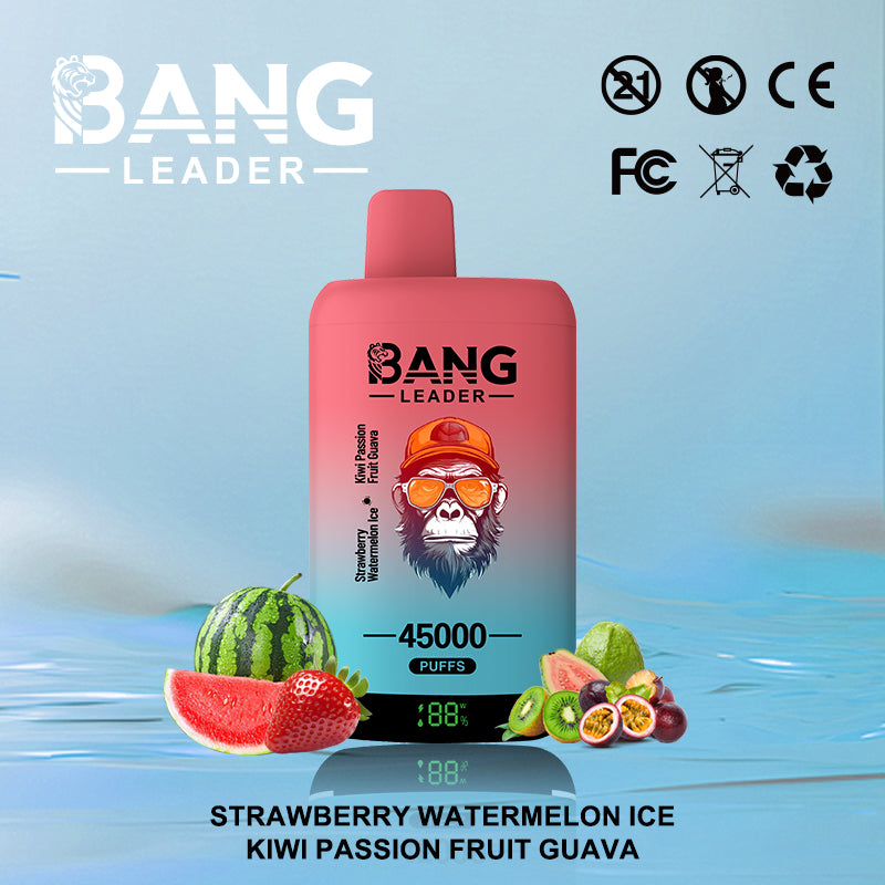 Bang Leader 45000 45K Puffs 2% 3% 5% Nicotine Double Taste LED Display Disposable Vape