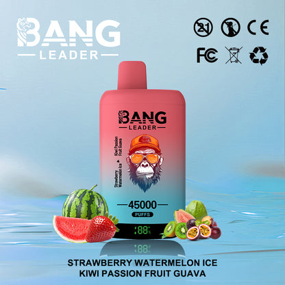 Bang Leader 45000 45K Puffs 2% 3% 5% Nicotine Double Taste LED Display Disposable Vape