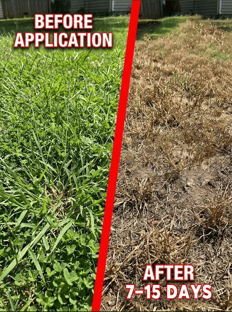 Flash Sale⚡ 50K+ SOLD! Almost Gone-🔥Herbicide and root rot control agent