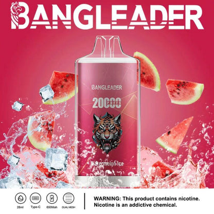 Bang Leader 20000 20K Puffs Newest Product Disposable Vape