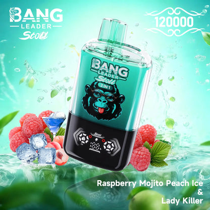 Bang Leader Stoll 120K 120000 Puffs Double Taste&Anti-Leak Design LED Display Disposable Vape