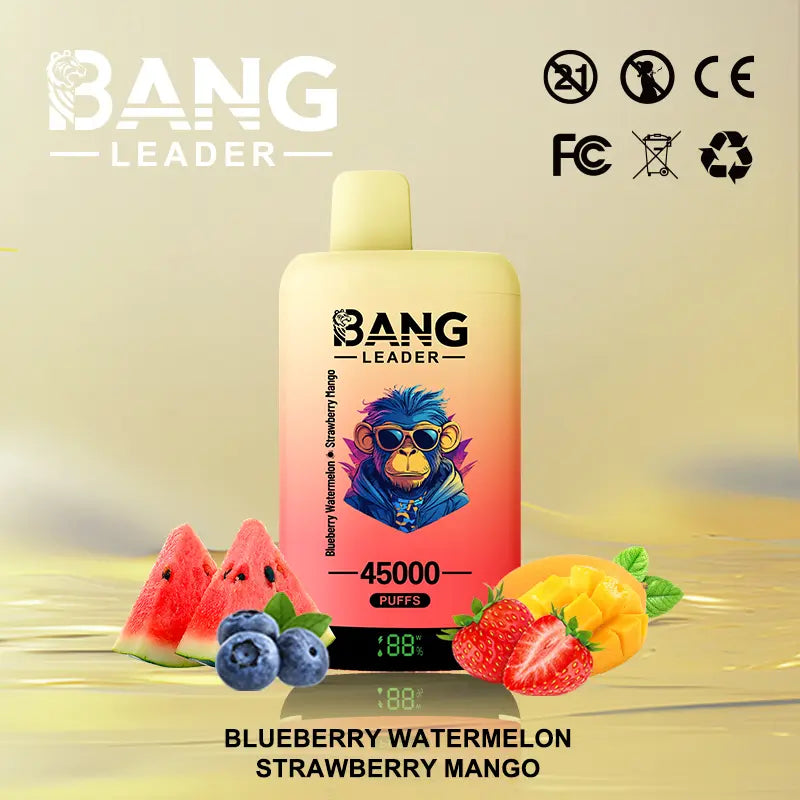 Bang Leader 45000 45K Puffs 2% 3% 5% Nicotine Double Taste LED Display Disposable Vape