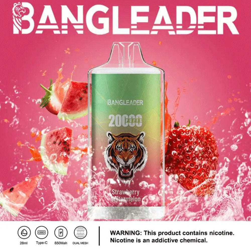 Bang Leader 20000 20K Puffs Newest Product Disposable Vape