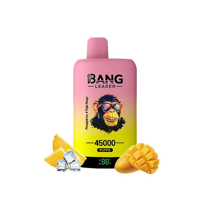 Bang Leader 45000 45K Puffs Double Taste LED Display Rechargeable  Disposable Vape EU Warehouse