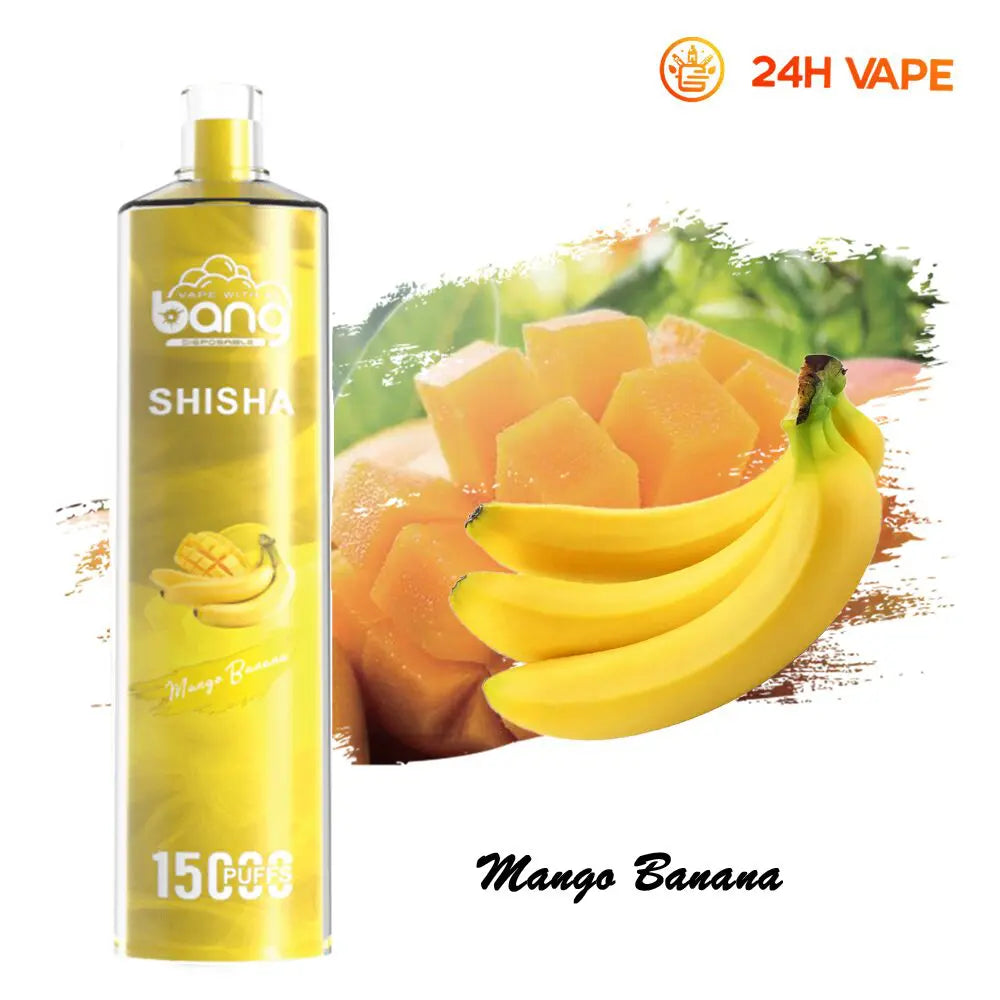 Bang SHISHA 15000 Puffs Direct To Lung Disposable Electronic Cigarette New Vape Pen