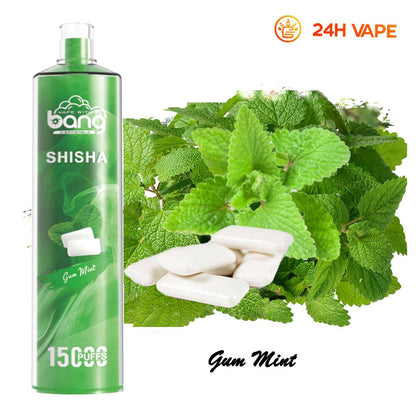 Bang SHISHA 15000 Puffs Direct To Lung Disposable Electronic Cigarette New Vape Pen