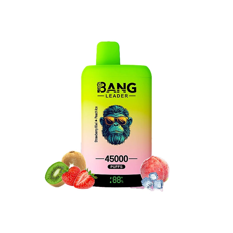 Bang Leader 45000 45K Puffs Double Taste LED Display Rechargeable  Disposable Vape EU Warehouse