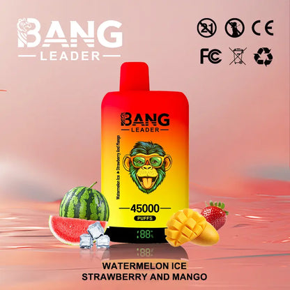 Bang Leader 45000 45K Puffs 2% 3% 5% Nicotine Double Taste LED Display Disposable Vape