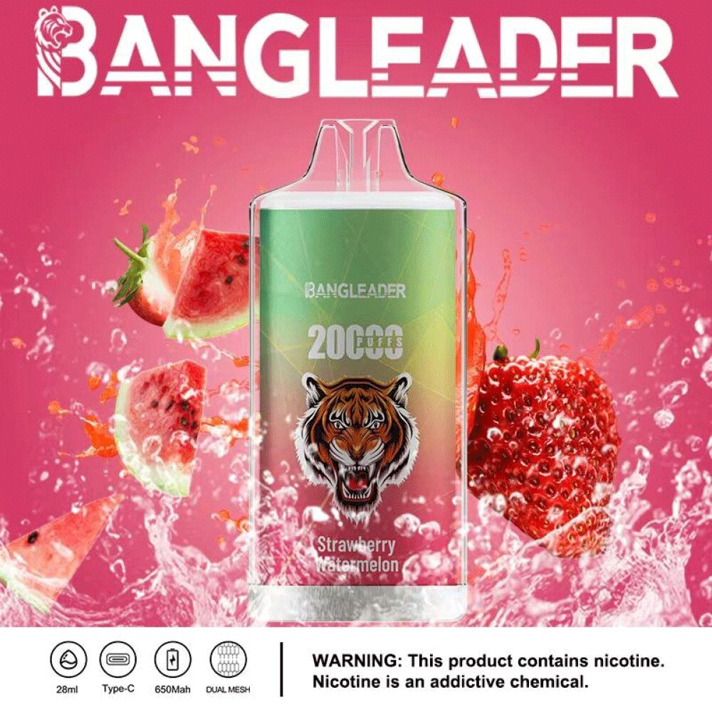 Bang Leader 20000 20K Puffs Newest Product Disposable Vape