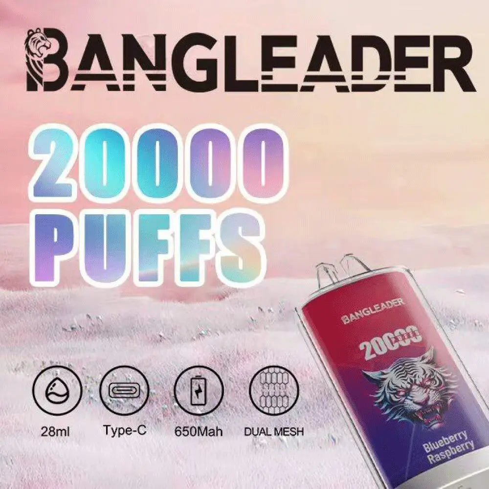 Bang Leader 20000 20K Puffs Newest Product Disposable Vape