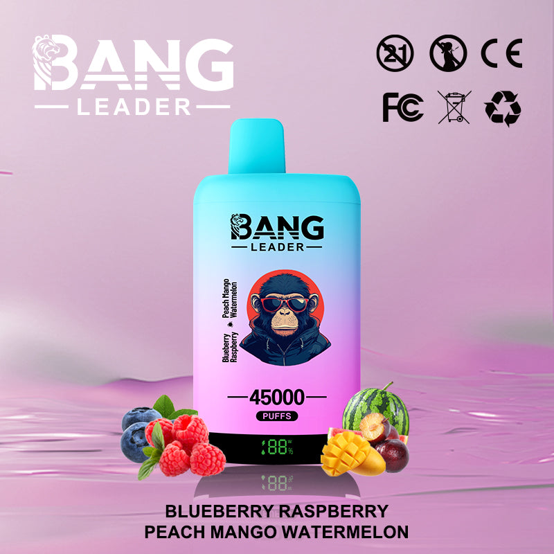 Bang Leader 45000 45K Puffs 2% 3% 5% Nicotine Double Taste LED Display Disposable Vape
