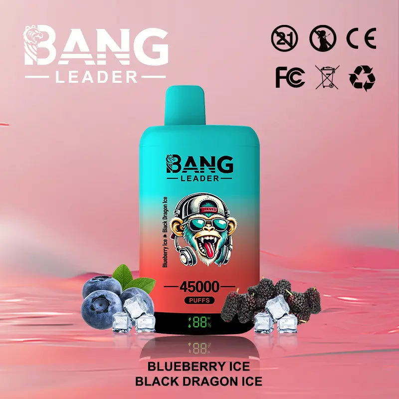 Bang Leader 45000 45K Puffs 2% 3% 5% Nicotine Double Taste LED Display Disposable Vape