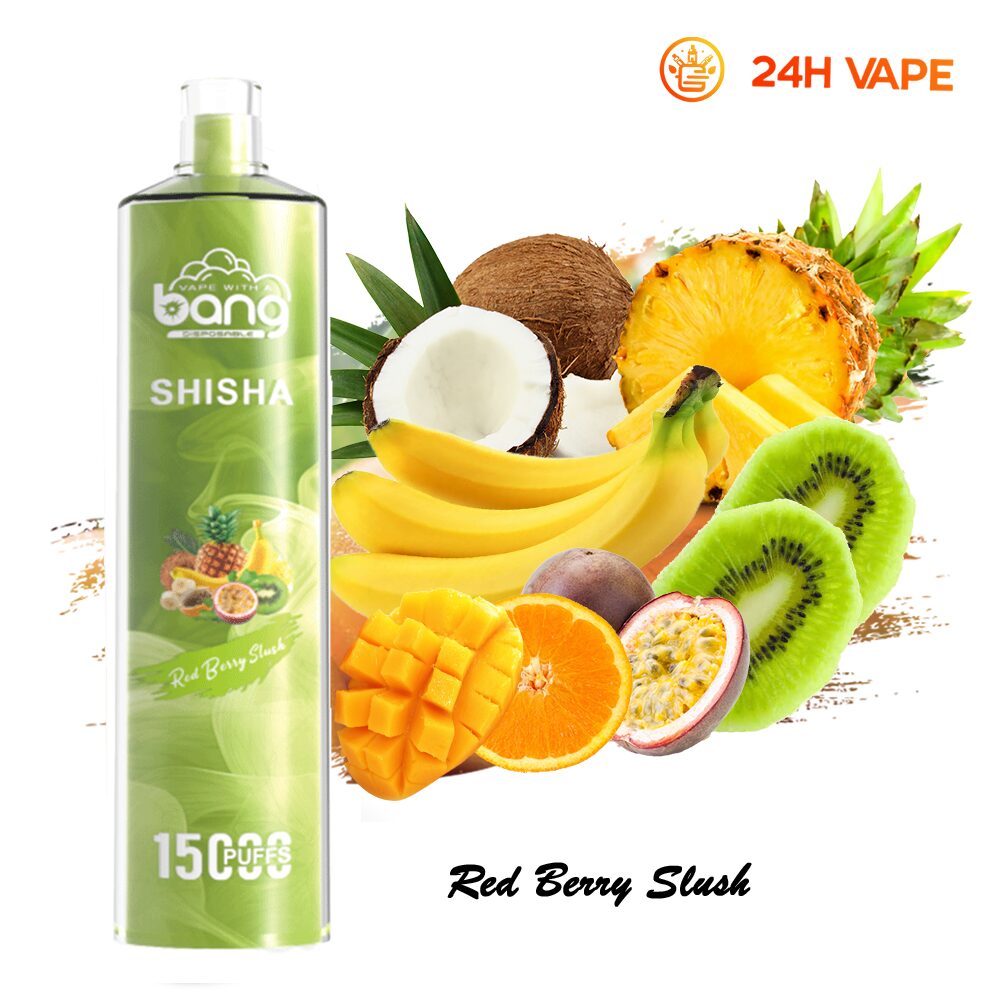 Bang SHISHA 15000 Puffs Direct To Lung Disposable Electronic Cigarette New Vape Pen