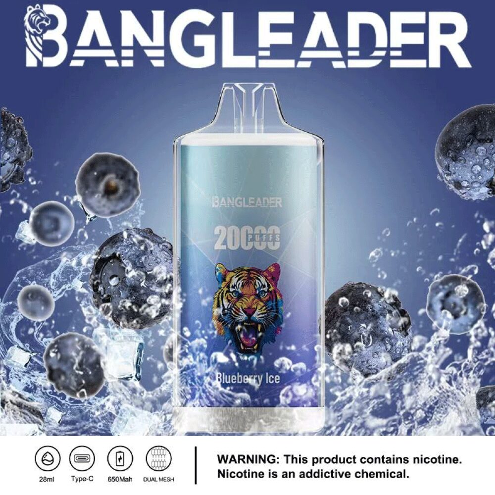 Bang Leader 20000 20K Puffs Newest Product Disposable Vape