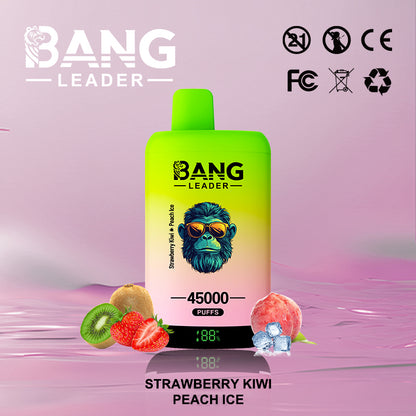 Bang Leader 45000 45K Puffs 2% 3% 5% Nicotine Double Taste LED Display Disposable Vape