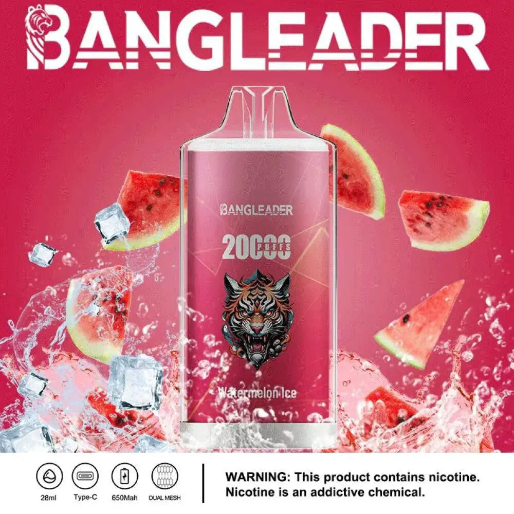 Bang Leader 20000 20K Puffs Newest Product Disposable Vape
